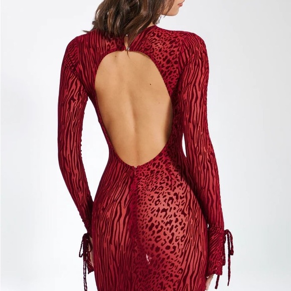 Miss Circle Waylynn Burgundy Burnout VelvetDetail Mesh Backless Maxi Dress - Picture 7 of 7